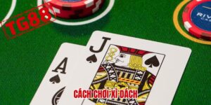 Cách chơi xì dách tại Tg88