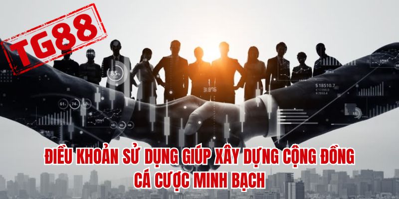 Điều khoản sử dụng giúp xây dựng cộng đồng cá cược minh bạch